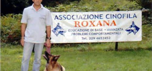 DOVE PRENDERE UN CANE DOVE PRENDERE UN CANE